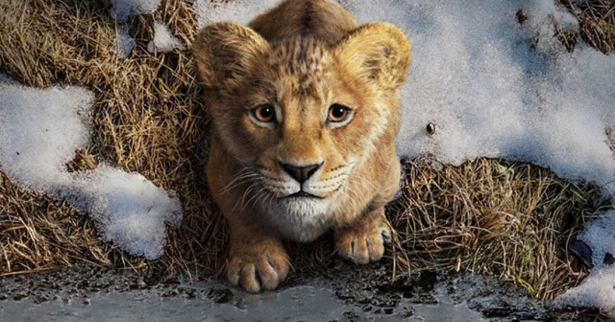 Cinemark lança combo exclusivo de ‘Mufasa: O Rei Leão’ com itens colecionáveis