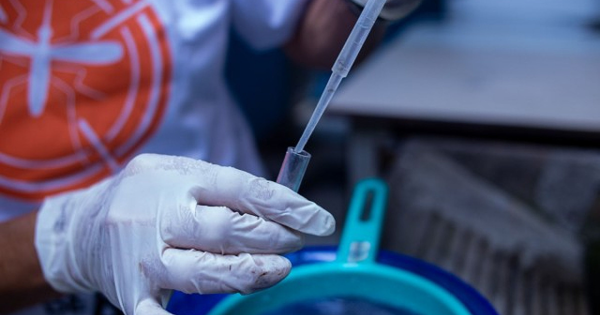 Em meio à pandemia, casos de dengue registram queda na região