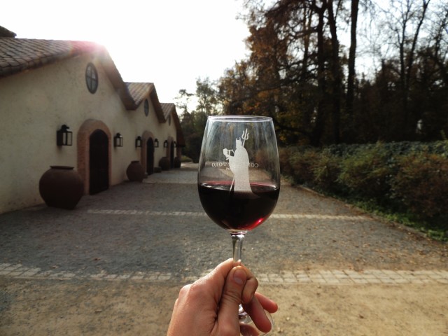 Vinícola chilena Concha y Toro lança curso online e gratuito sobre vinho