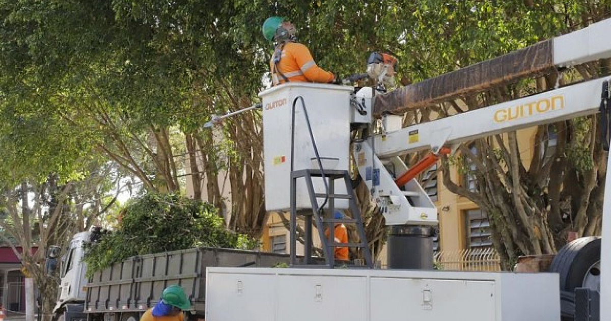 Para serviço de podas de árvores mais eficiente, Barueri adota novo modelo de gestão de arborização