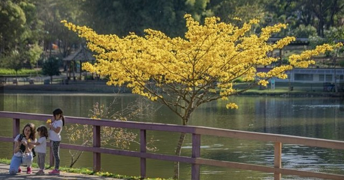 Com La Niña, primavera deve ser marcada por chuvas