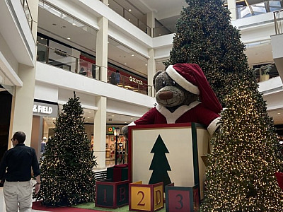 Coral do Colégio Anglo Leonardo da Vinci no "Quartas de Natal" do Iguatemi Alphaville