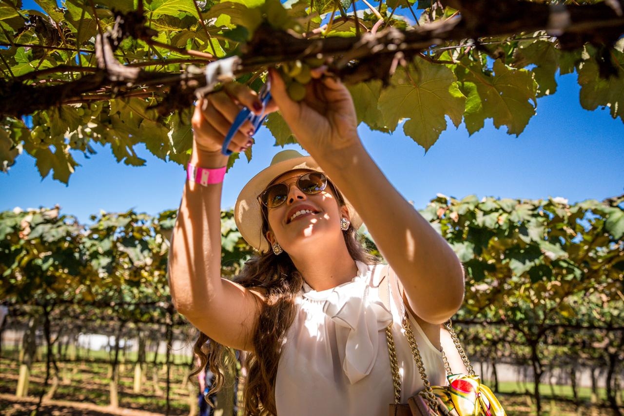 Maior evento da Vinícola Góes apresenta atrações para toda a família