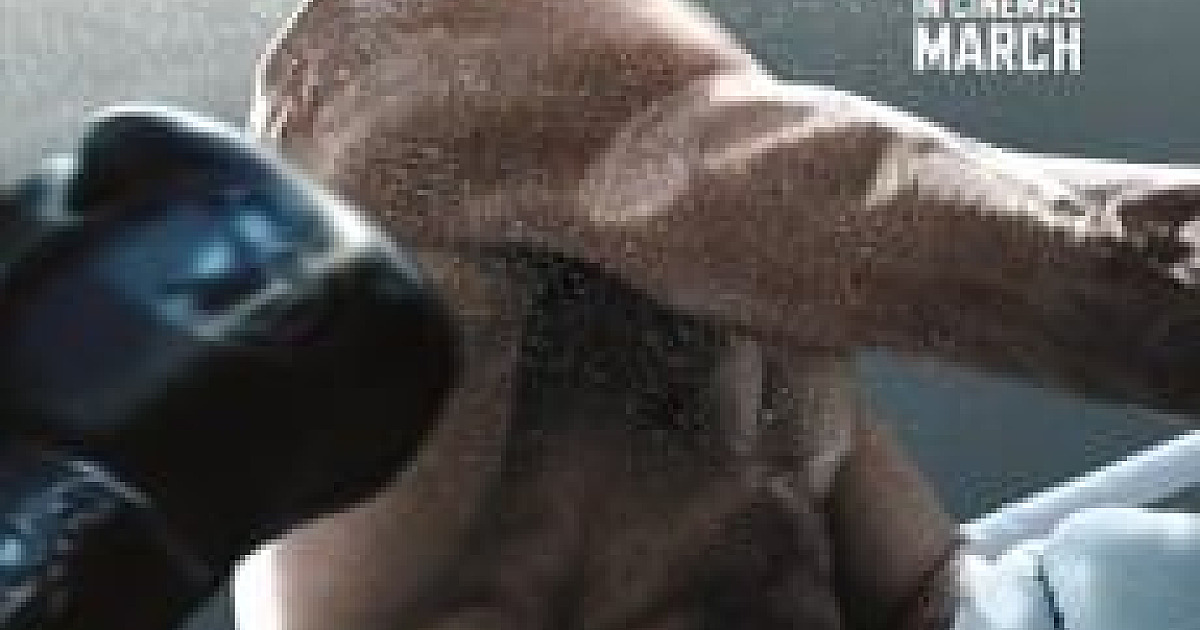 Creed III