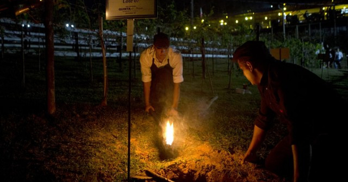 Quinta do Olivardo realiza noite do "Vinho dos Mortos" neste fim de semana