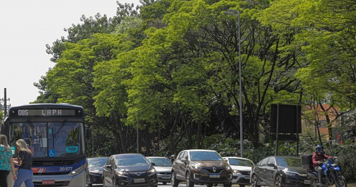 Moradores querem mais segurança e melhoria no trânsito em 2024, aponta enquete