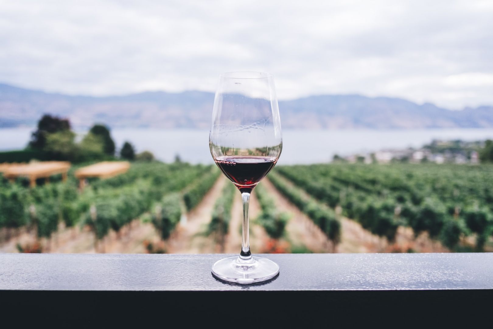 Wine Weekend Summer traz o melhor do vinho para SP