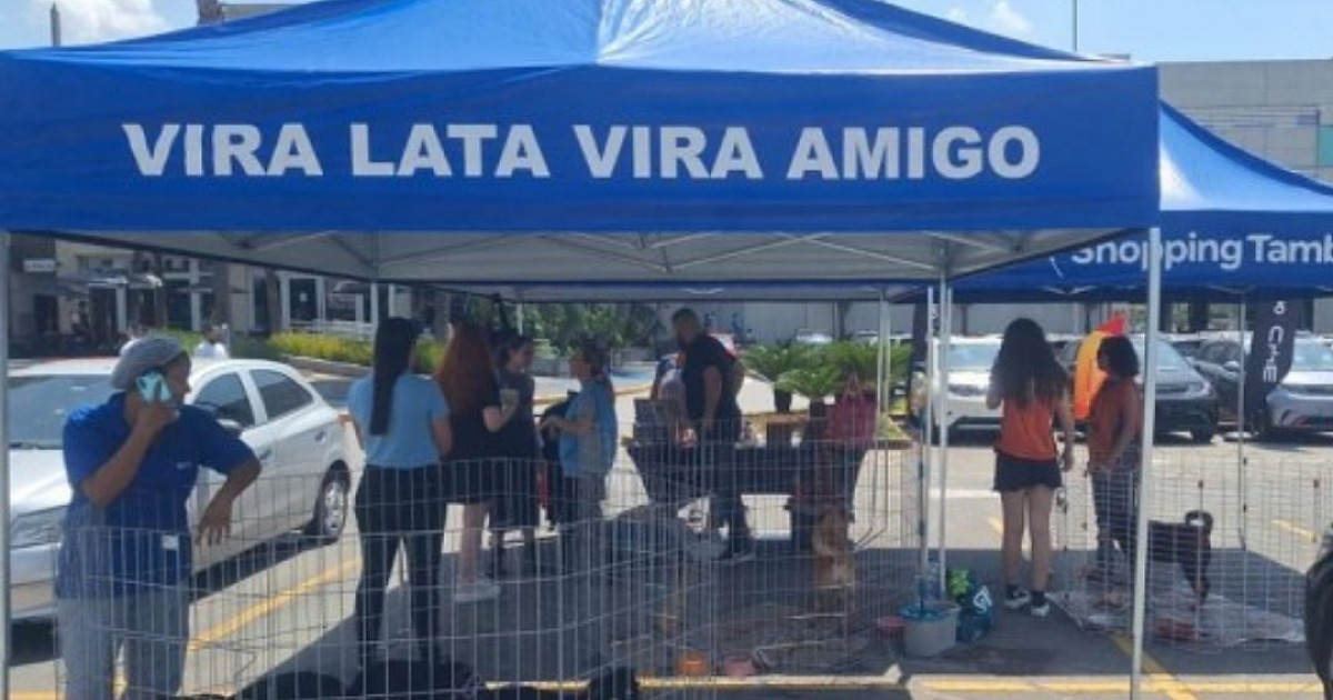 Pets ganham cada vez mais espaço na programação dos shoppings do bairro