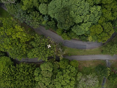 Barueri é uma das cidades mais arborizadas do mundo, diz a ONU