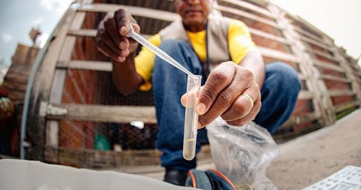 Santana de Parnaíba promoverá Dia D contra dengue nesta sexta-feira (1)