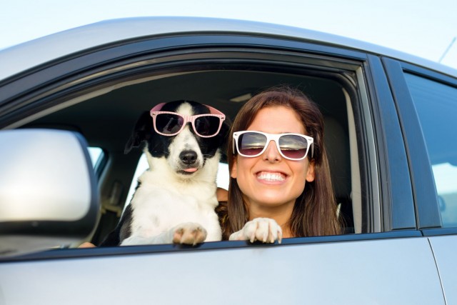 Alphaville recebe evento drive-in para pets neste sábado (19)