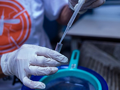 Laboratórios de Alphaville registram alta nos testes positivos para dengue