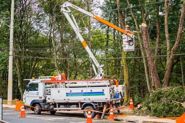Empresa de energia demora mais de um ano para podar árvores