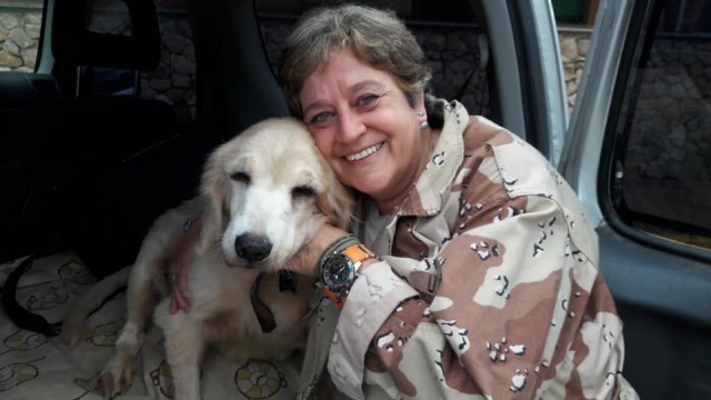 Campanha arrecada doações para santuários de animais