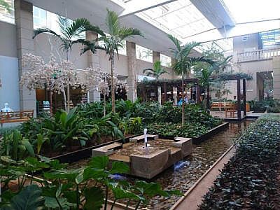 Alpha Square Mall terá exposição com peças de artistas nacionais e internacionais