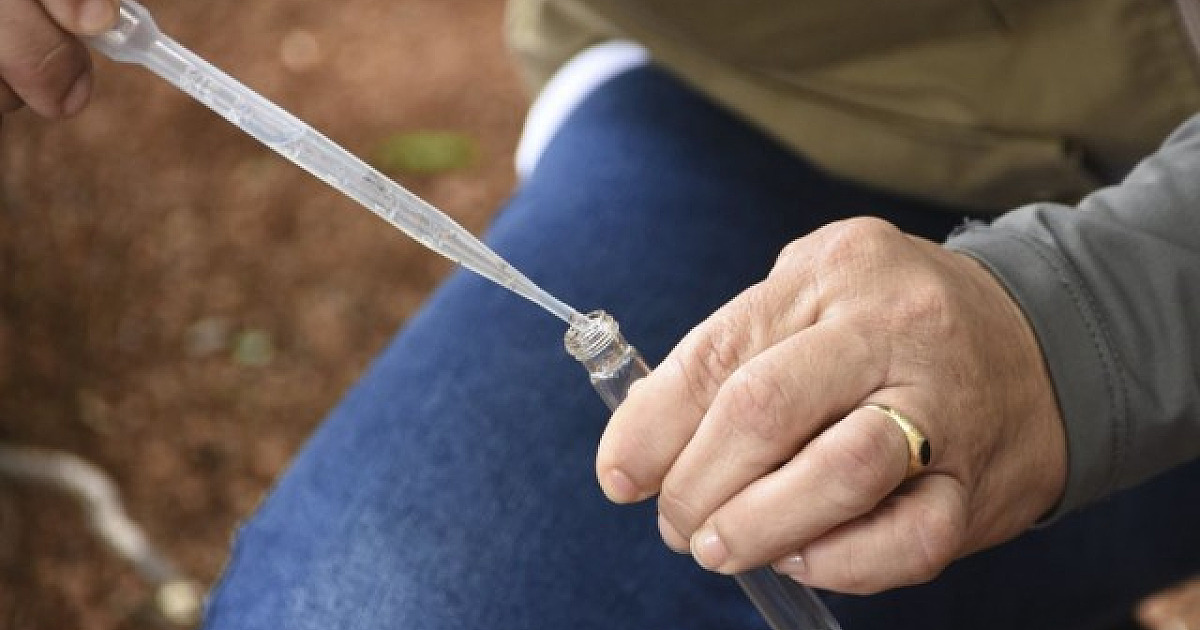 Governo de São Paulo decreta estado de emergência para dengue