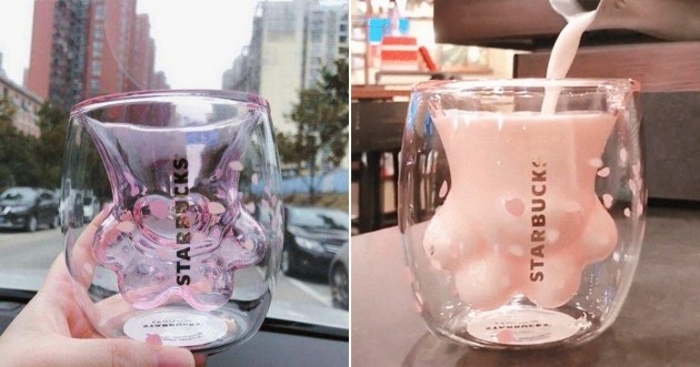 Starbucks lança edição limitada de copo com o formato de uma patinha de gato