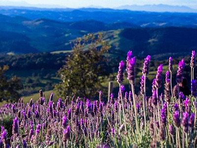 4 viagens rápidas para dar de presente de Dia das Mães
