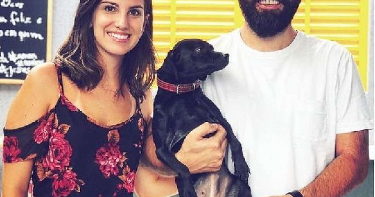 Adoção especial dá um novo lar para pets idosos, deficientes ou de grande porte em Barueri