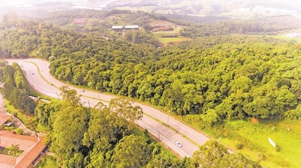 Barueri e Santana de Parnaíba têm “nível zero” de desmatamento