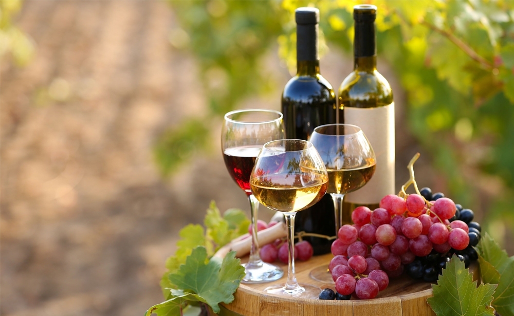 Eataly promove Festa del Vino com mais de 80 rótulos para degustação