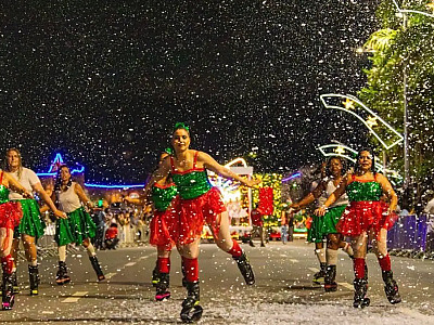 Público pode acompanhar desfile até domingo (21)