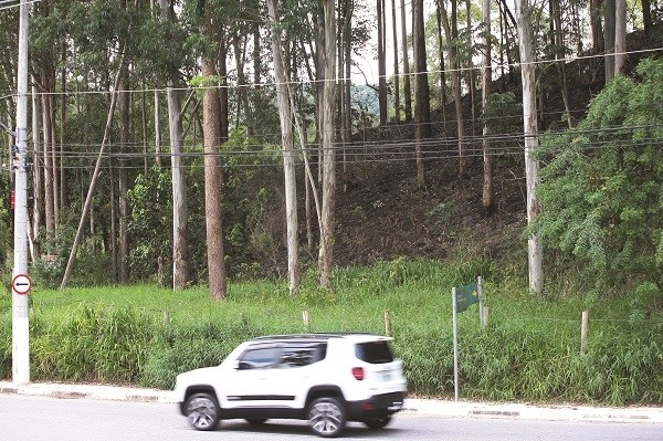 Incêndio em mata na Av. Marcos Penteado atingiu área de 20 mil m²