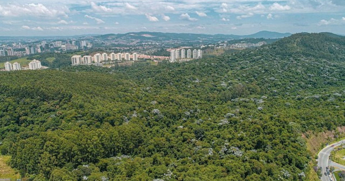 Barueri e Santana de Parnaíba estão em “nível zero” de desmatamento, diz SOS Mata Atlântica