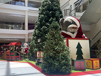 Coral do Grupo Vida Brasil se apresenta no projeto “Quartas de Natal” do Iguatemi Alphaville