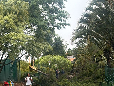 Previsão: Quinta-feira (13) pode repetir mau tempo, com chuvas, granizo e ventos na região