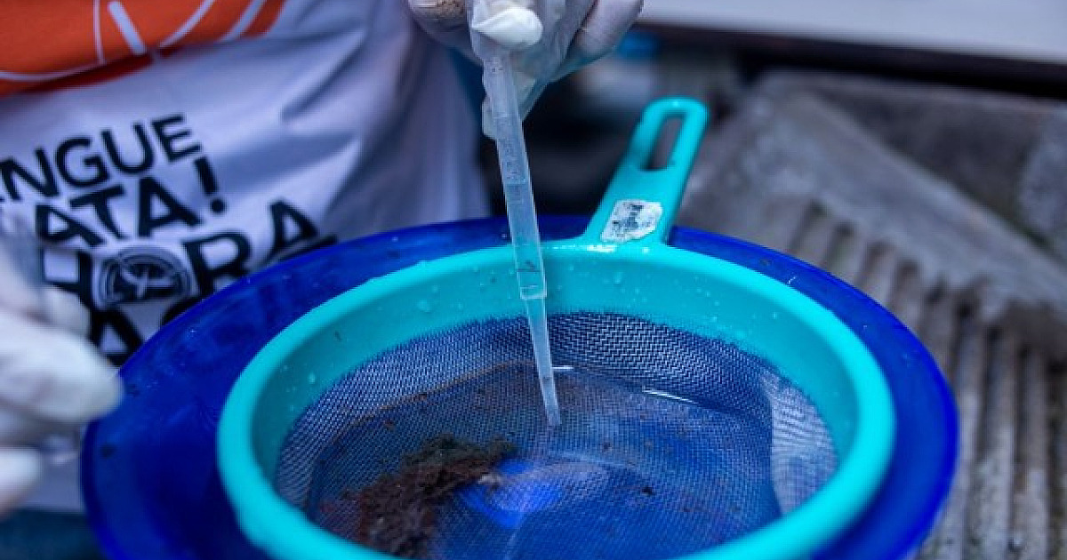 Barueri e Parnaíba têm queda no número de novos casos de dengue