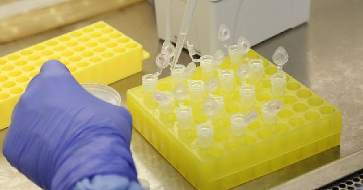 São Paulo confirma primeiros casos da variante Ômicron no Brasil