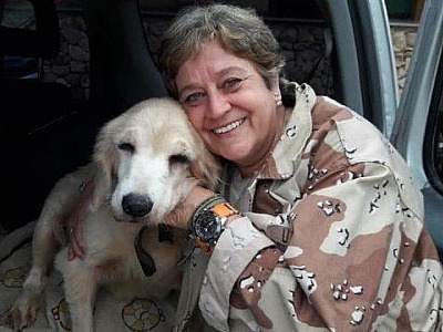Santuário de animais precisa de doações