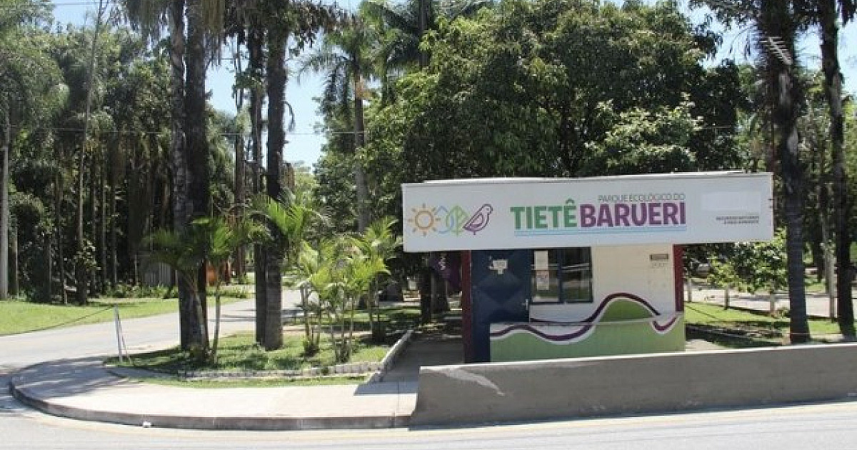 Confira o que abre e fecha no feriado de Nossa Senhora Aparecida
