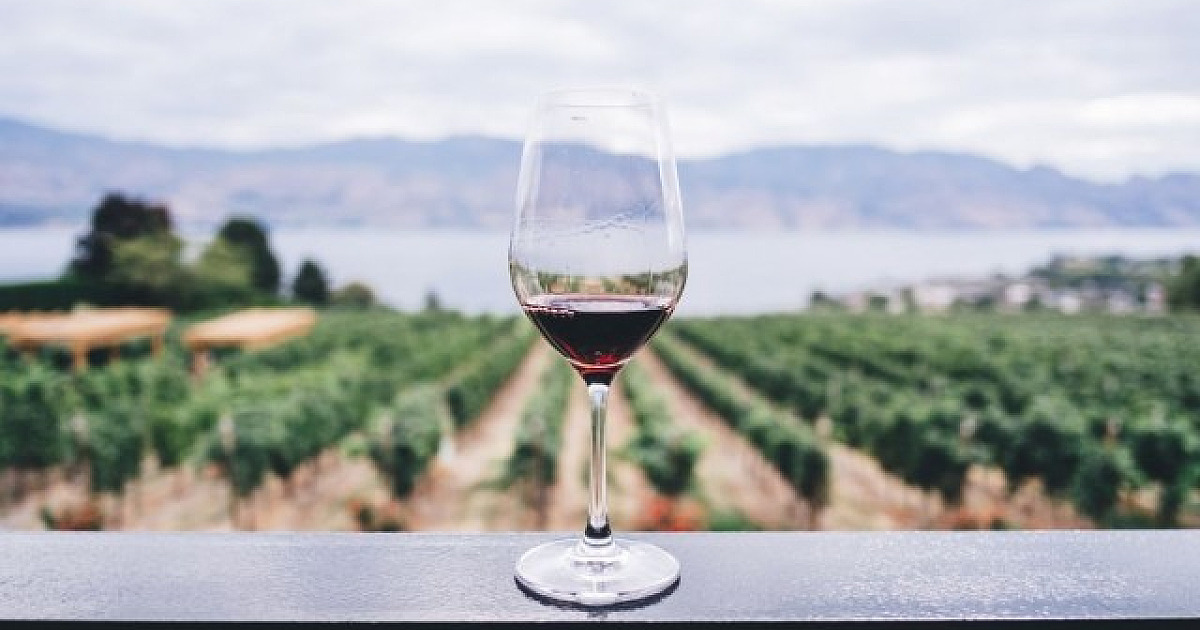 5 vinhos para celebrar o Dia Internacional da Cabernet Sauvignon
