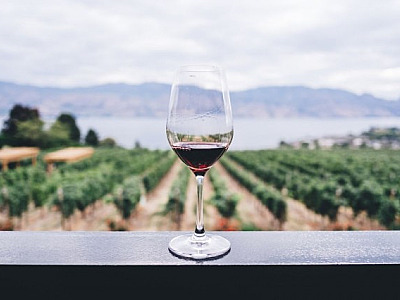 5 vinhos para celebrar o Dia Internacional da Cabernet Sauvignon