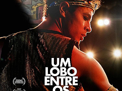 Um Lobo Entre Os Cisnes
