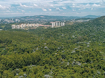 Parnaíba institui Selo de Desenvolvimento Sustentável