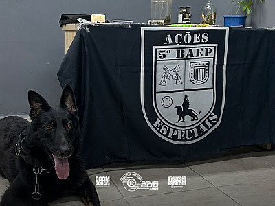 A prisão ocorreu durante patrulhamento na comunidade conhecida como Favela do 120