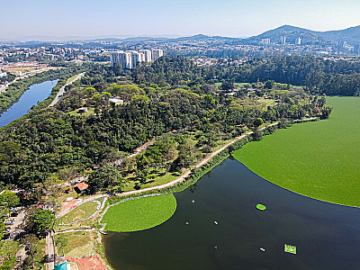 A Sala Verde é um espaço permanente de educação ambiental
