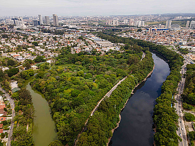 O foco está na recomposição ambiental das áreas afetadas pelos episódios ocorridos em 2025