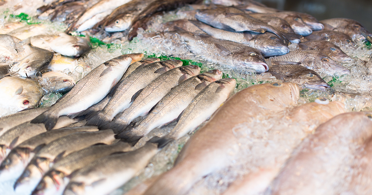 Ipem-SP orienta consumidores sobre pesagem correta de pescados durante a Quaresma