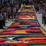 Corpus Christi de Santana de Parnaíba terá um dos maiores tapetes de serragem do país