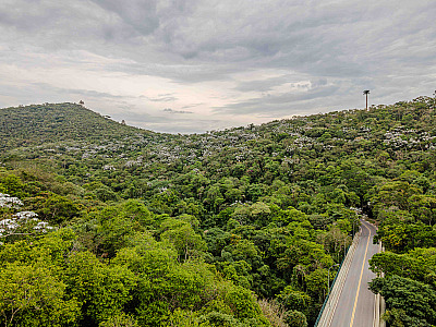 Reserva Biológica Tamboré, remanescente da Mata Atlântica na região