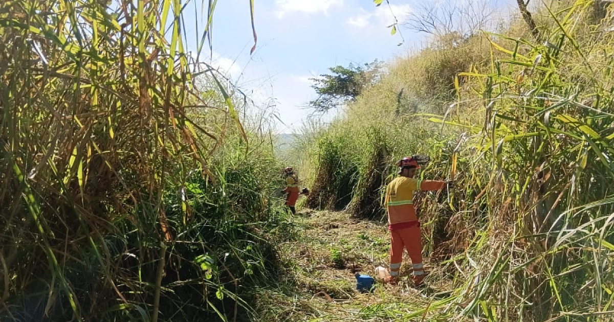 Ecovias intensifica ações para prevenir queimadas nas rodovias durante período de estiagem
