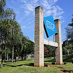 USP abre mais de 7 mil vagas gratuitas para cursos on-line de inverno
