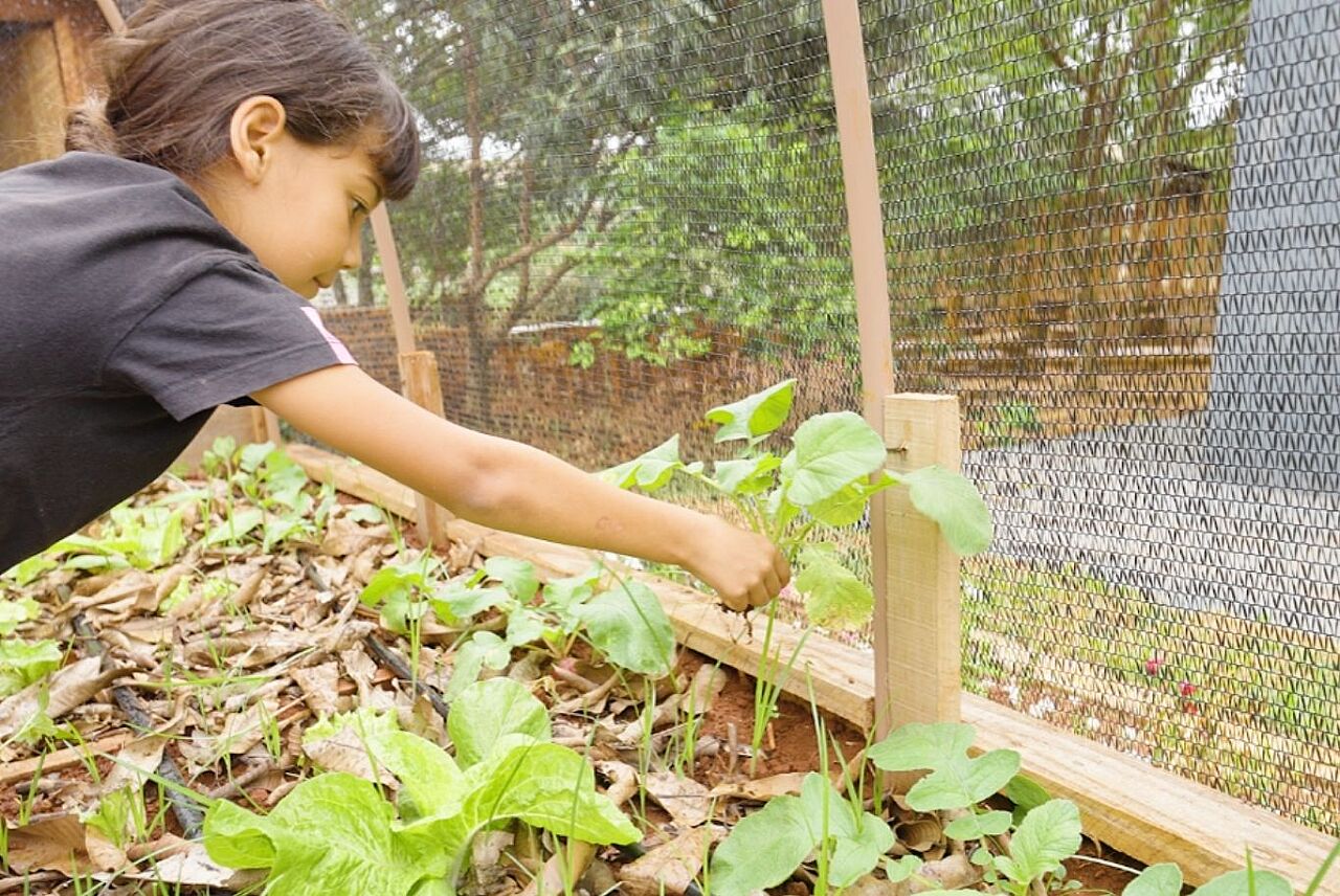 Instituto Motiva lança curso gratuito sobre adaptação climática nas escolas