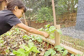 Instituto Motiva lança curso gratuito sobre adaptação climática nas escolas
