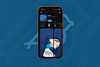 Eleitores já podem denunciar propaganda eleitoral irregular pelo app Pardal