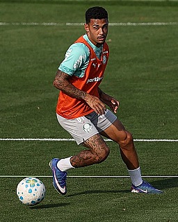 Palmeiras concretiza venda de Riquelme, mas aguarda burocracia